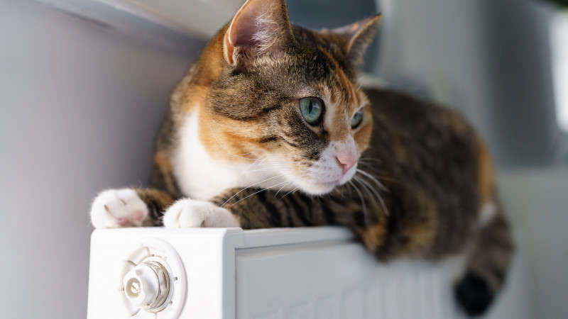 Опалювальний сезон близько: про що говорить заява Вітренко – як Україні пережити зиму