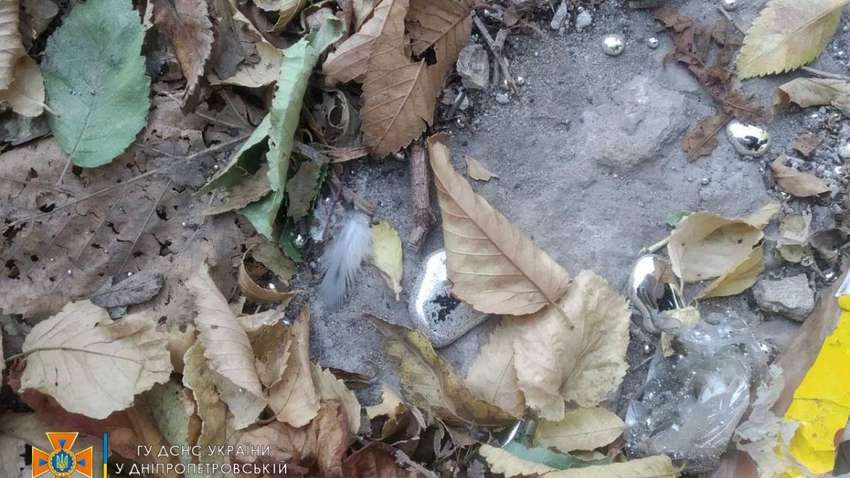 В Кривом Роге на улице нашли больше килограмма ртути: подробности В Кривом Роге на улице нашли больше килограмма ртути: подробности