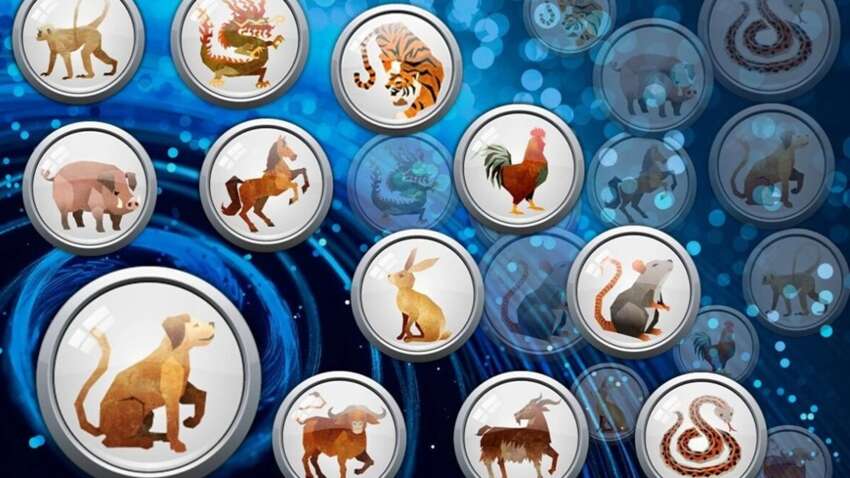 Эти три знака зодиака не ожидали такого сюрприза: кто уже скоро получит все Эти три знака зодиака не ожидали такого сюрприза: кто уже скоро получит все