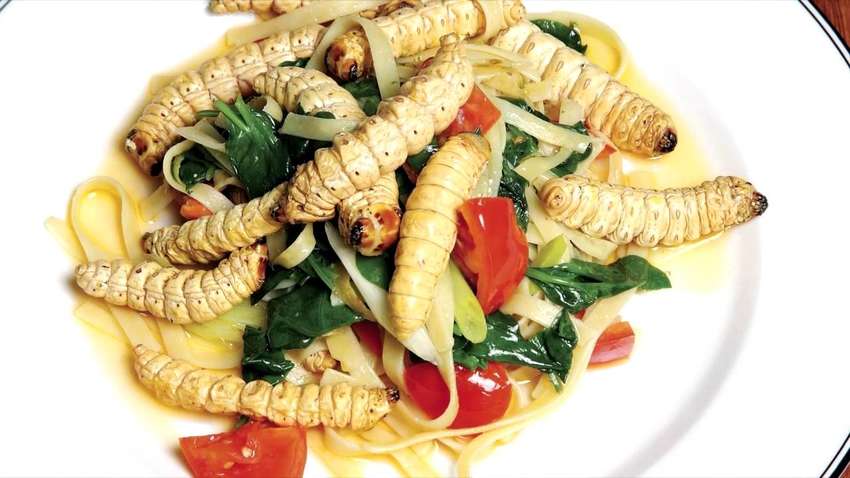 Дванадцять самих мерзенних національних страв: список дивує