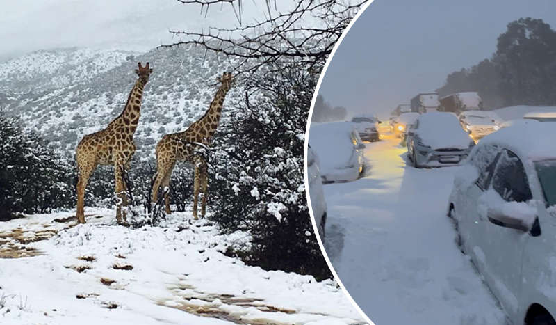 Південна Африка засипана снігом: хаос на трасах та закриті дороги Південна Африка засипана снігом: хаос на трасах та закриті дороги