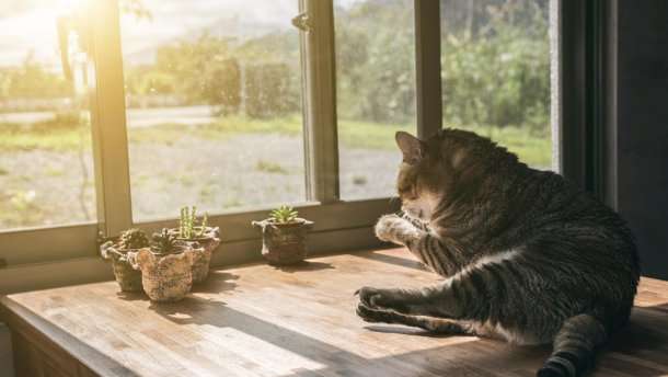 Осінь прийшла, але літо залишилося: прогноз погоди