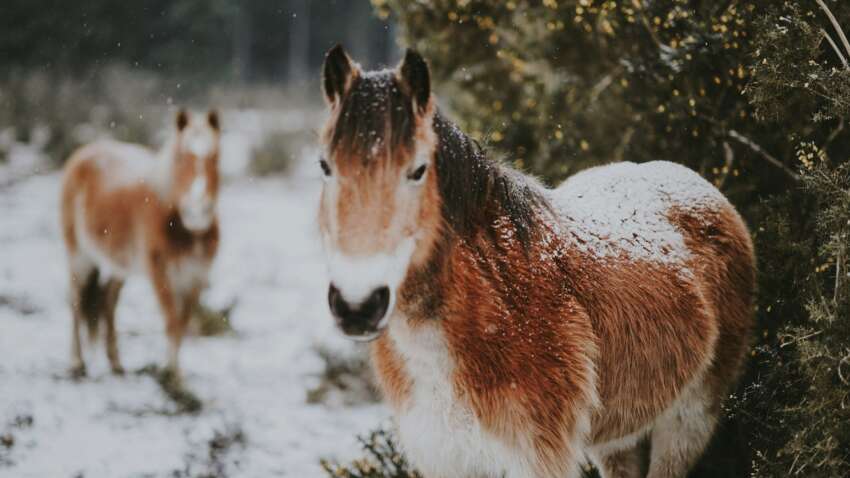 Какой церковный праздник 23 декабря: три главные запреты этого дня