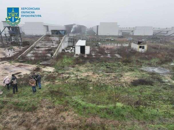 Есть угроза бактериального заражения: в Чернобаевке массово гибнут куры из-за российских обстрелов (ФОТО)