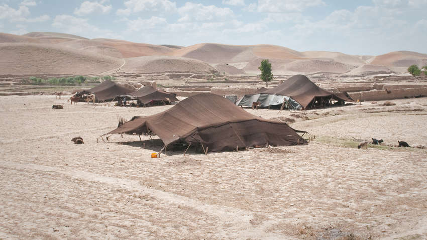 Судьба афганского ЛГБТ-сообщества беспокоит Великобританию