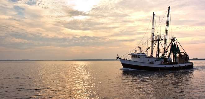 У Великобританії та Франції суперечка через рибу