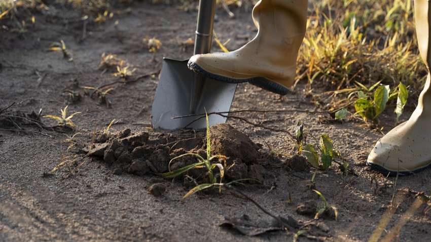 В Росії з’явились незвичайні оголошення про роботу. Пропонують великі гроші В Росії з’явились незвичайні оголошення про роботу. Пропонують великі гроші