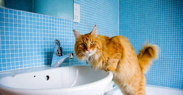 Завтра в Одессе тысячи жителей останутся без воды (АДРЕСА) Завтра в Одессе тысячи жителей останутся без воды (АДРЕСА)