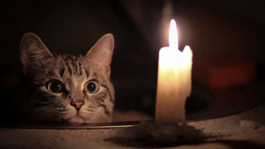 Ждать ли Украине постоянных отключений электроэнергии в 2021 году — объяснение "Укрэнерго" Ждать ли Украине постоянных отключений электроэнергии в 2021 году — объяснение "Укрэнерго"