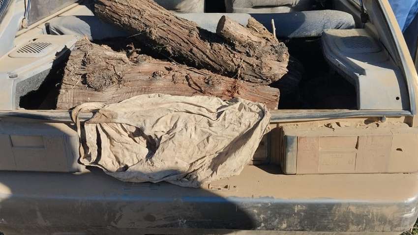 Штрафы за дрова уже начали выписывать украинцам: что известно