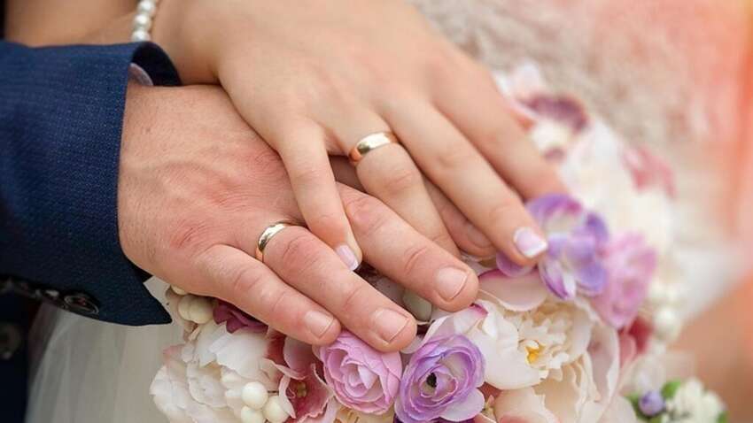 В Раде объяснили, почему скандал вокруг Гражданского кодекса является манипуляцией