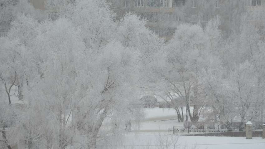 Снігові бурі та морози до -25: якою буде зима 2024 в Україні
