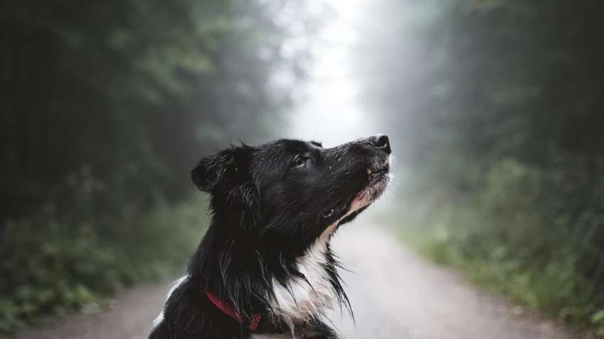 Хочеться плакати: п'ять самих мерзенних запахів на думку вчених Хочеться плакати: п'ять самих мерзенних запахів на думку вчених