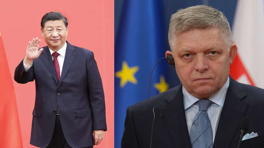 Стало известно, какому европейскому лидеру Си поручил продвигать китайские интересы в ЕС Стало известно, какому европейскому лидеру Си поручил продвигать китайские интересы в ЕС