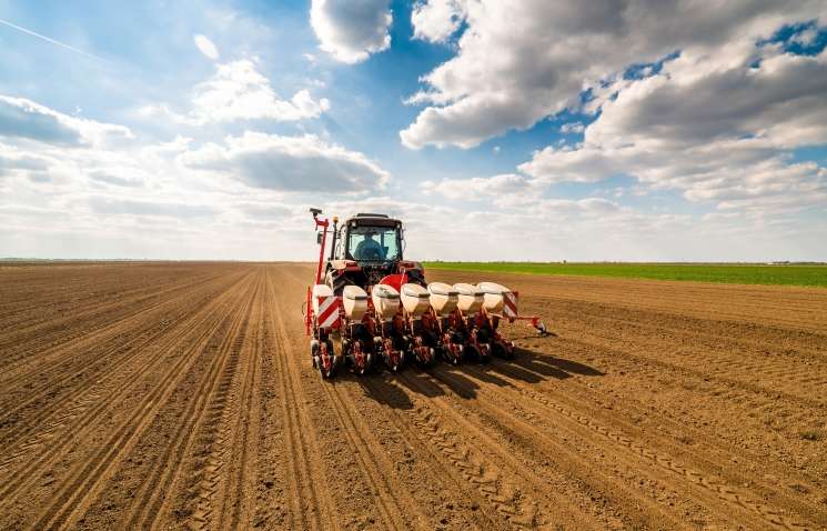 Украина готовится к рекордной посевной кампании: на какой урожай рассчитывают