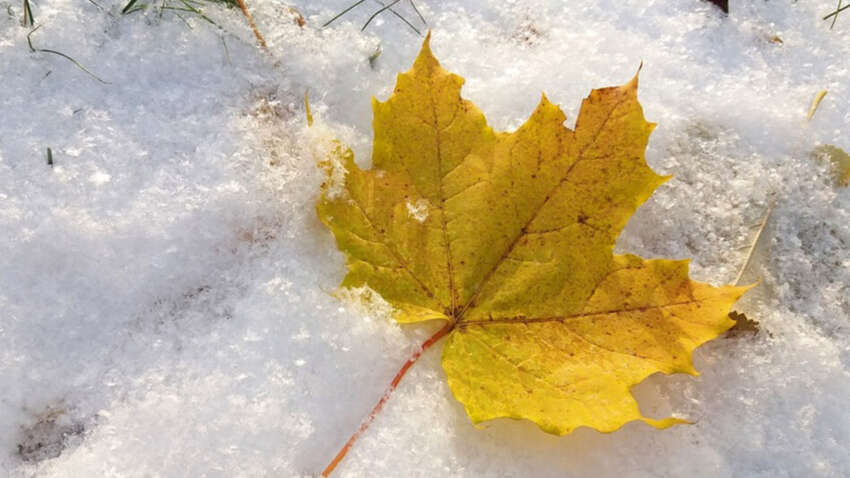 Какой церковный праздник 28 ноября: что сулит особую удачу в этот день