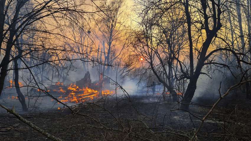 У Чорнобилі спалахнула нова пожежа