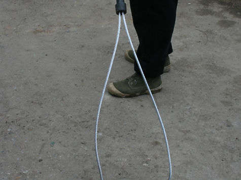 На улице Австралии заметили огромного хищника, который бросался на людей (ВИДЕО)