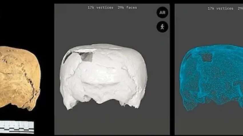 В Мексике обнаружили уникальный череп со сплющенной верхушкой – такой формы еще не находили В Мексике обнаружили уникальный череп со сплющенной верхушкой – такой формы еще не находили