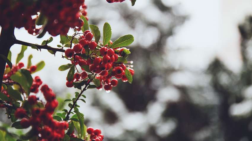 Синоптики рассказали, какой будет погода в Украине 23 февраля