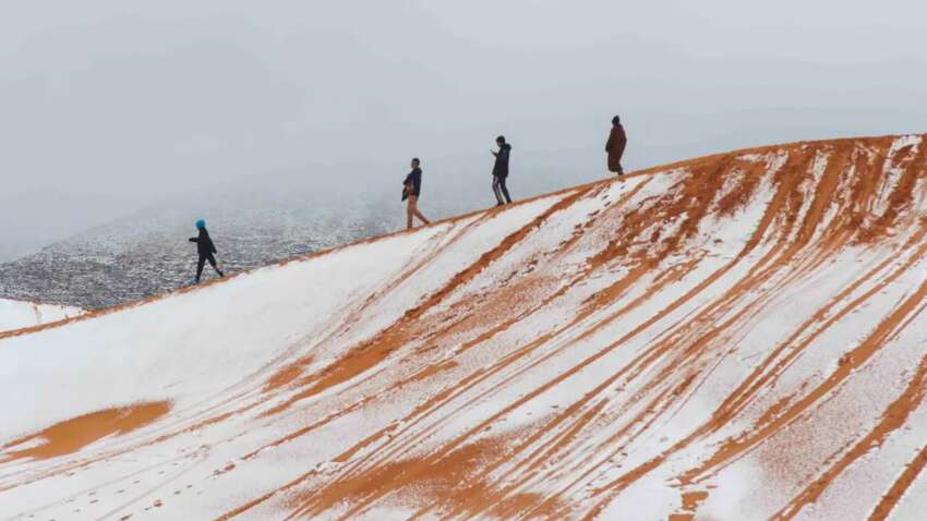 В пустыне Сахара выпал снег: редкие фото заснеженных песчаных дюн