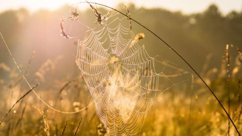 Очень холодные ночи и теплые дни: какая погода ожидает Украину в выходной