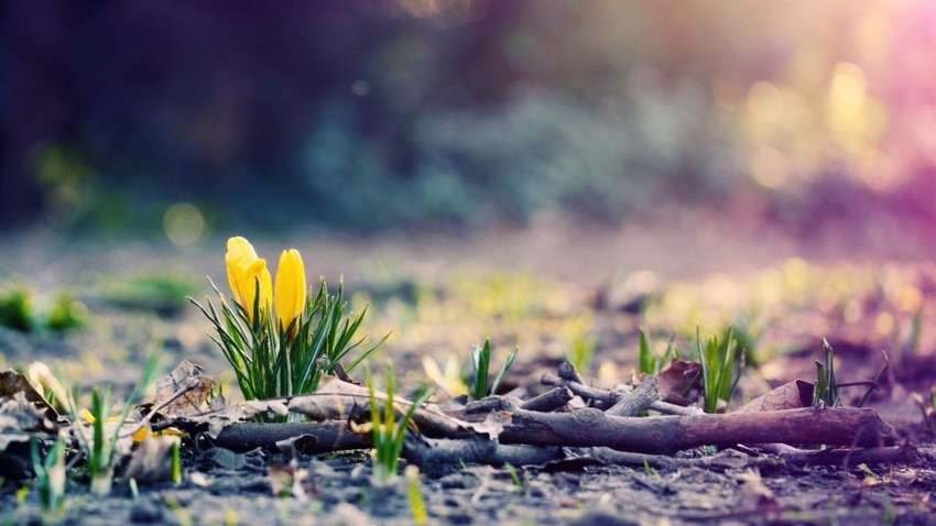 Когда потеплеет в Украине: прогноз синоптика