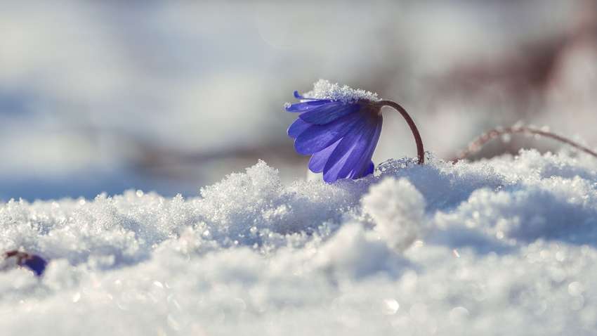 Прогноз погоди в Україні на 30 березня: де чекати на холод і сніг 