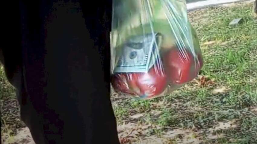 Судья взял взятку и положил в прозрачный пакет с яблоками