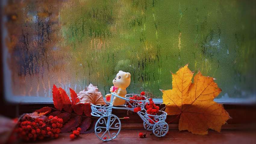 В Украину идет настоящая осень: прогноз погоды на ближайшие дни