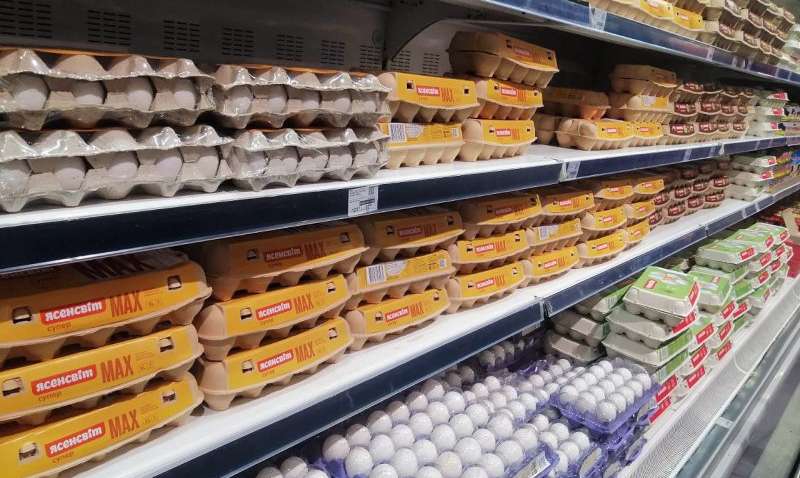 Що буде з цінами на яйця влітку та скільки вони коштують зараз, - експерти Що буде з цінами на яйця влітку та скільки вони коштують зараз, - експерти