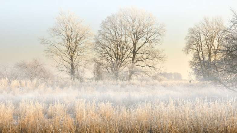 В Украину возвращается потепление: синоптики рассказали, где будет до + 14 градусов В Украину возвращается потепление: синоптики рассказали, где будет до + 14 градусов