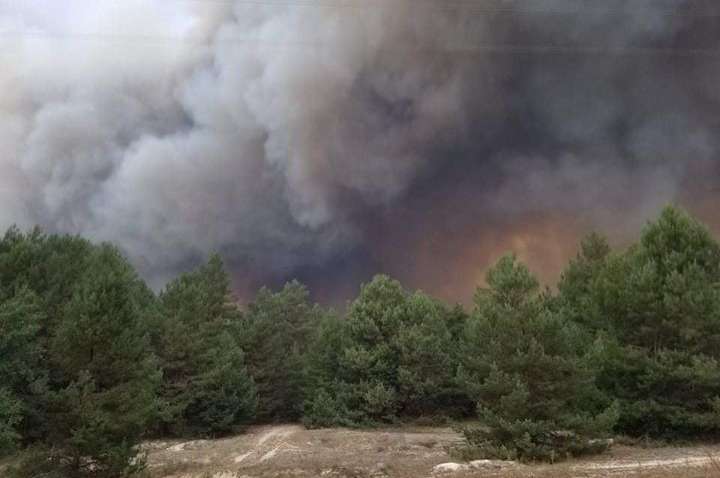 В Киевской области пылает военный полигон В Киевской области пылает военный полигон