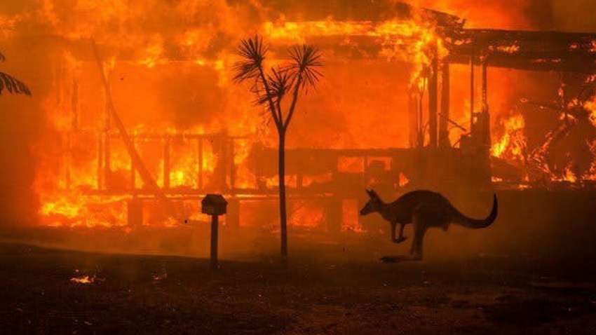 Австралии понадобится сотня лет, чтобы восстановиться после пожаров