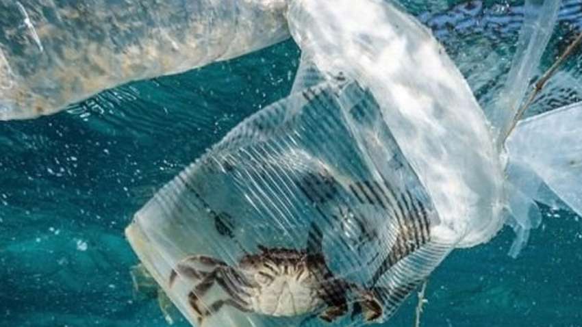 68% загрязнения Черного моря - это пластик, - заявление министра экологии 68% загрязнения Черного моря - это пластик, - заявление министра экологии