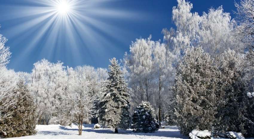 В Україну йде європейська зима: синоптик здивувала прогнозом погоди В Україну йде європейська зима: синоптик здивувала прогнозом погоди