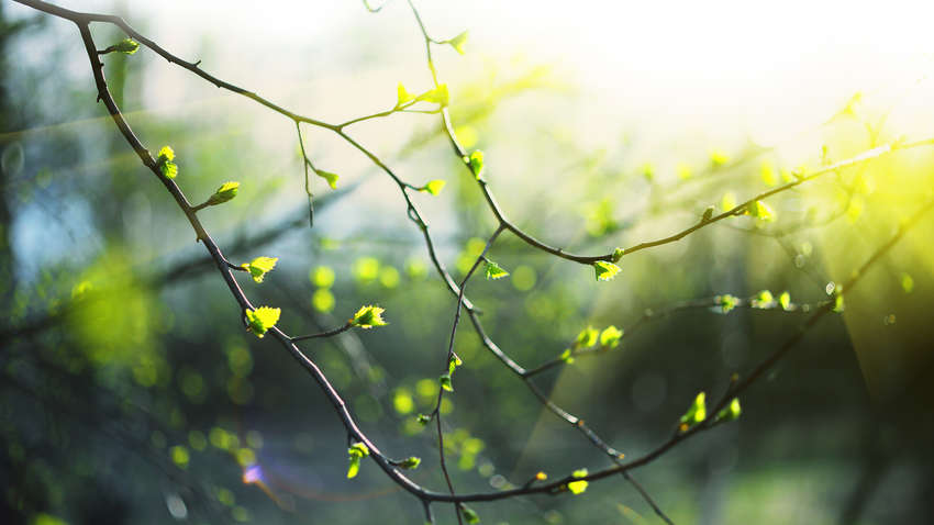 Прогноз погоди в Україні: де 4 квітня буде найтепліше