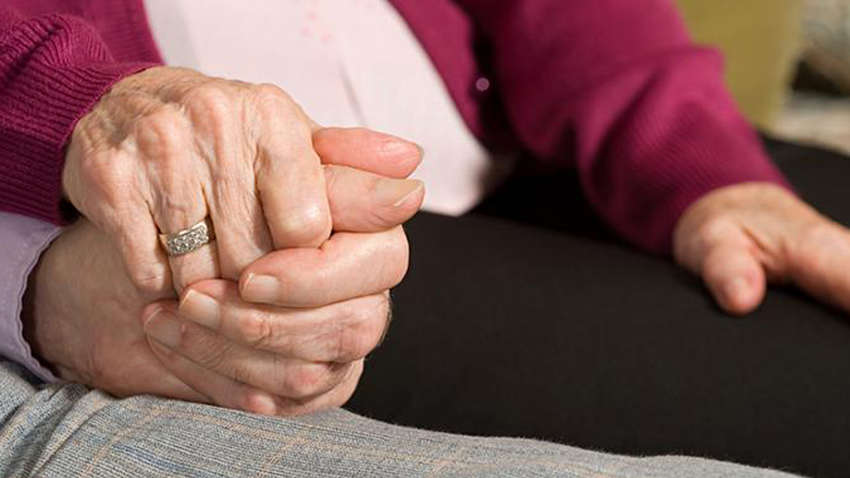 Ученые раскрыли главный секрет долголетия японцев Ученые раскрыли главный секрет долголетия японцев