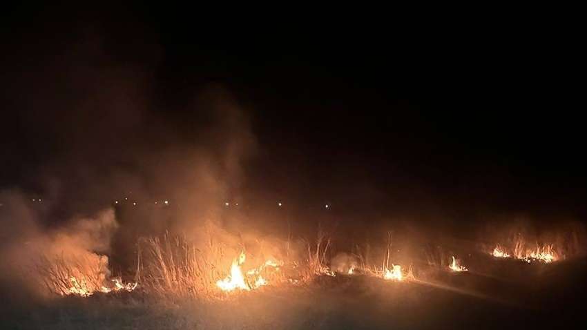 Львівська область у вогні: пожежа підступає до будинків