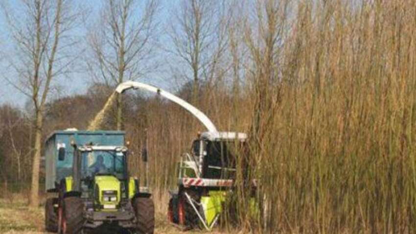 Опалення стає розкішшю: експерти пояснили, чим можна замінити дорогі дрова