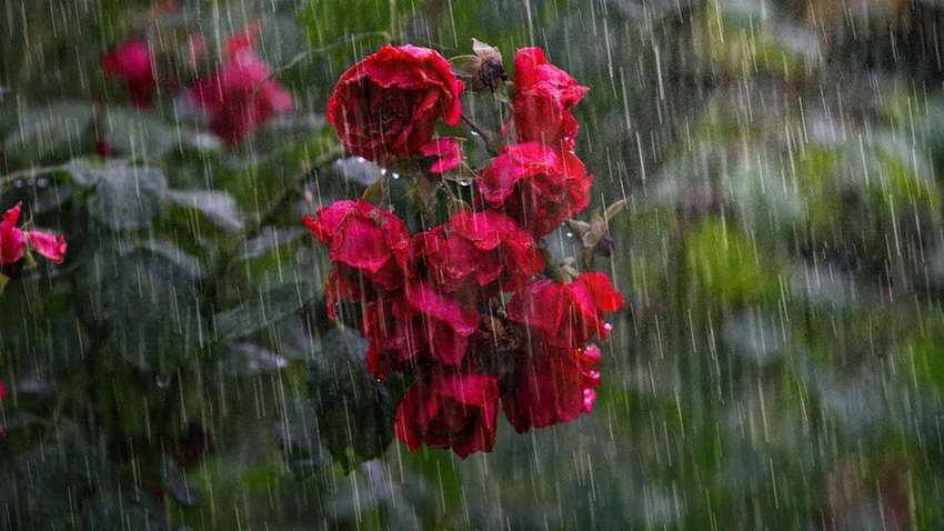 В Україну йдуть холодні зливи: коли і де дощитиме