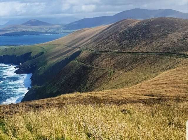 На частный остров в Исландии ищут смотрителя