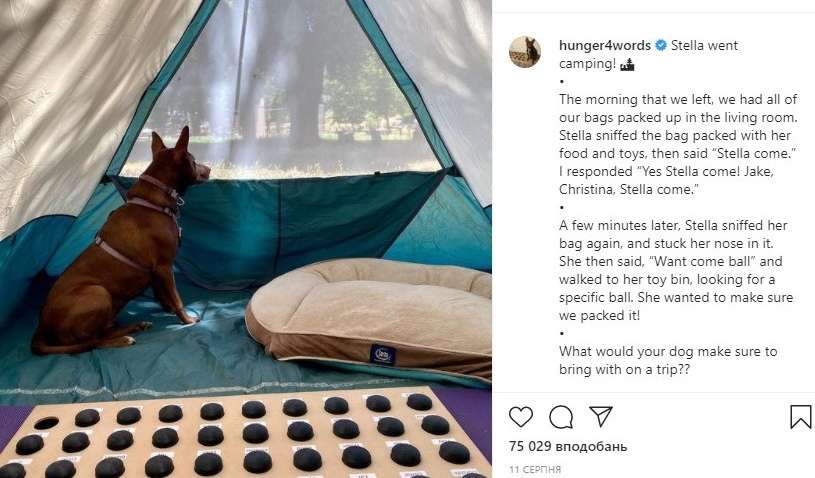 Логопед з Америки навчила собаку "розмовляти" - здатності Стелли просто вражають