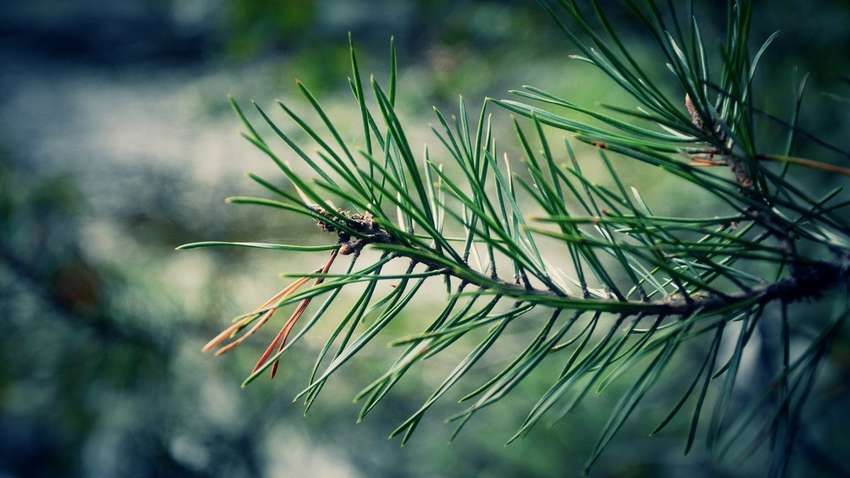 Вчені розповіли, як легко очистити воду на 99% Вчені розповіли, як легко очистити воду на 99%