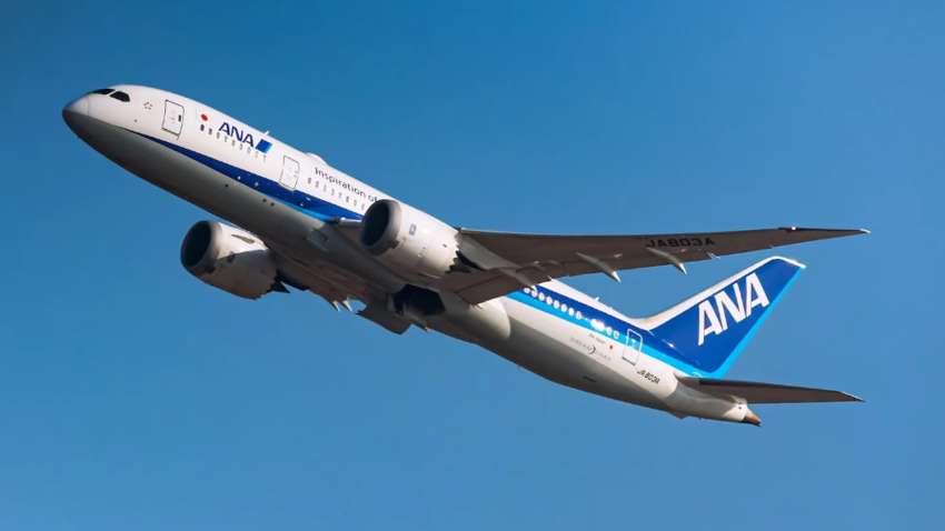 В Японії відбулась екстрена посадка літака: на борту п’яний чоловік покусав стюардесу