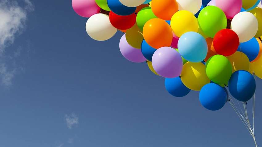 Индийский блогер пытался отправить собаку "в полет" на шариках (Фото)