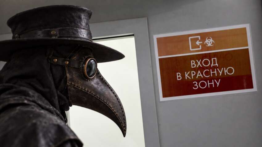 В России официально прокомментировали «вспышку чумы»: что это было