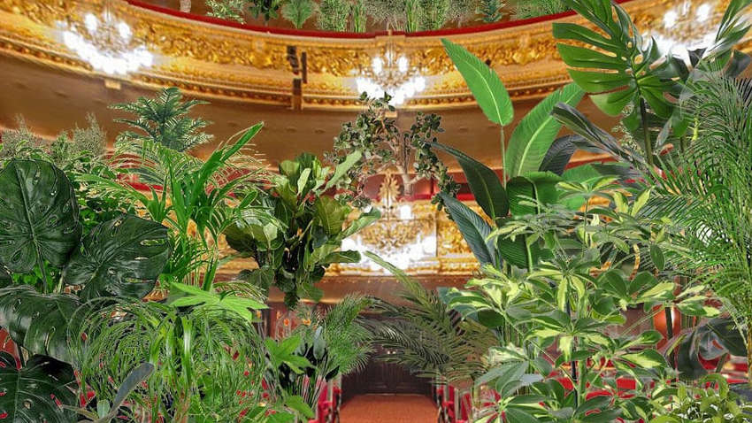 В Испании оперный театр устроит необычный концерт: таких слушателей еще не было