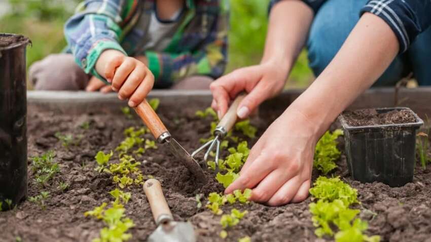 Коли потрібно садити город після Великодня: про ці правила знають далеко не всі 