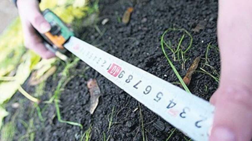 Есть огород, но не приватизировали: во время войны землю могут отобрать — и это реально Есть огород, но не приватизировали: во время войны землю могут отобрать — и это реально